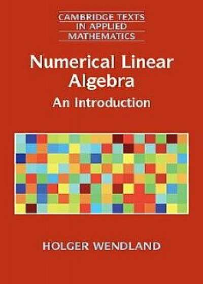 Numerical Linear Algebra, Paperback/Holger Wendland