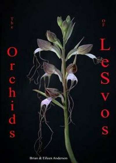 Orchids of Lesvos, Paperback/Eileen Anderson