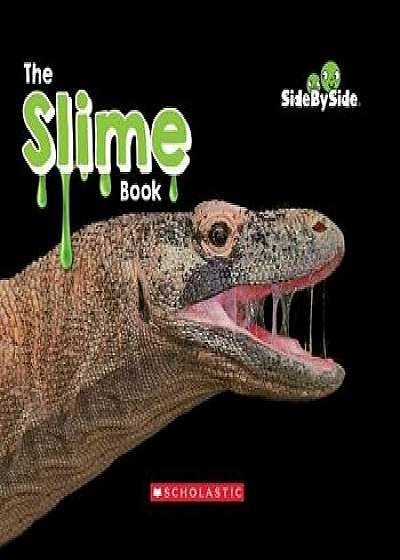 The Slime Book (Side by Side)/Erin Kelly