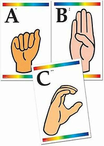 Sign Language Learning Cards with Braille/Instructional Fair