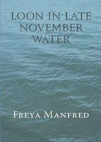 Loon In Late November Water, Paperback/Freya Manfred