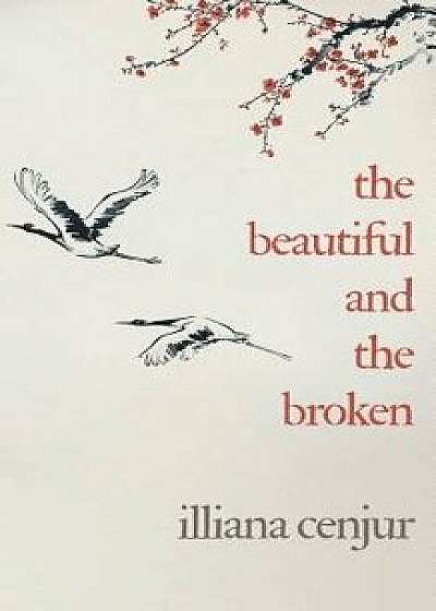 The Beautiful and the Broken, Paperback/Illiana Cenjur