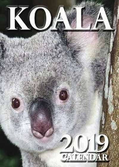 Koala 2019 Calendar, Paperback/Wall Publishing