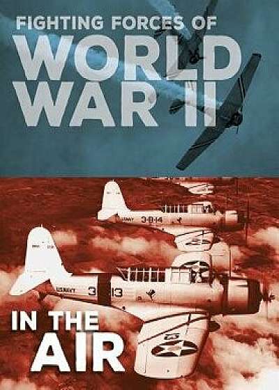 Fighting Forces of World War II in the Air/John C. Miles