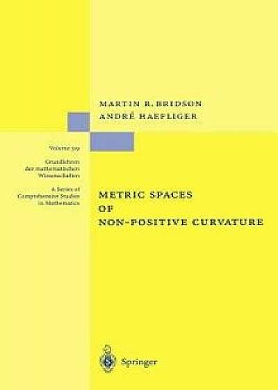Metric Spaces of Non-Positive Curvature, Hardcover/Martin R. Bridson