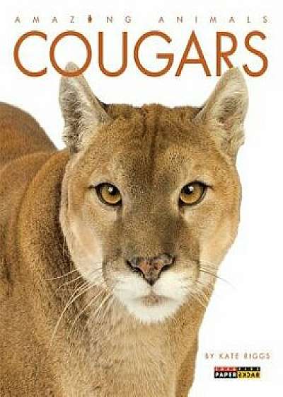 Cougars, Paperback/Kate Riggs