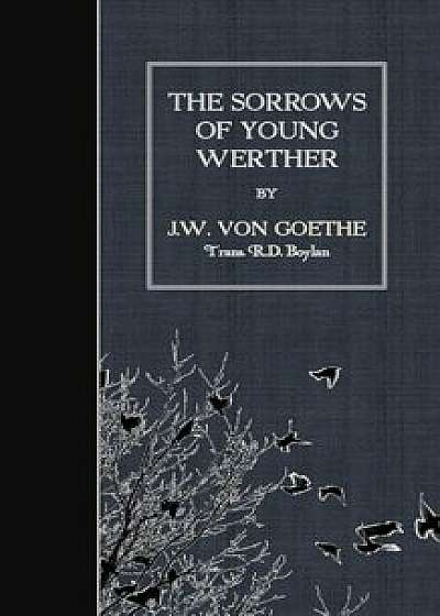The Sorrows of Young Werther, Paperback/J. W. Von Goethe