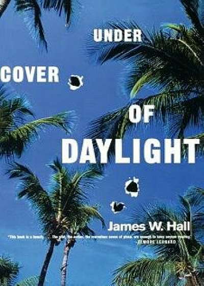 Under Cover of Daylight, Paperback/James W. Hall