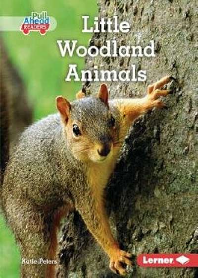Little Woodland Animals/Katie Peters
