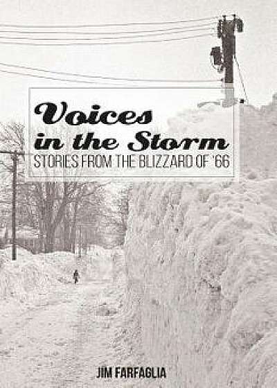 Voices in the Storm: Stories from the Blizzard of '66, Paperback/Jim Farfaglia