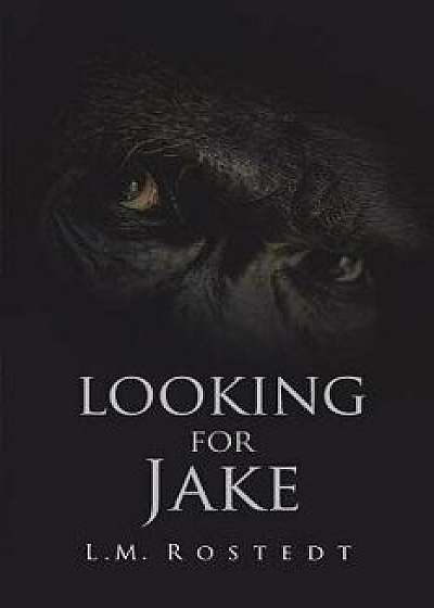 Looking for Jake, Paperback/L. M. Rostedt