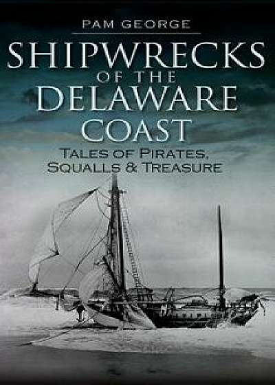 Shipwrecks of the Delaware Coast: Tales of Pirates, Squalls & Treasure, Hardcover/Pam George
