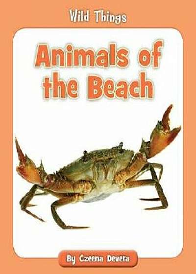 Animals of the Beach, Paperback/Czeena Devera