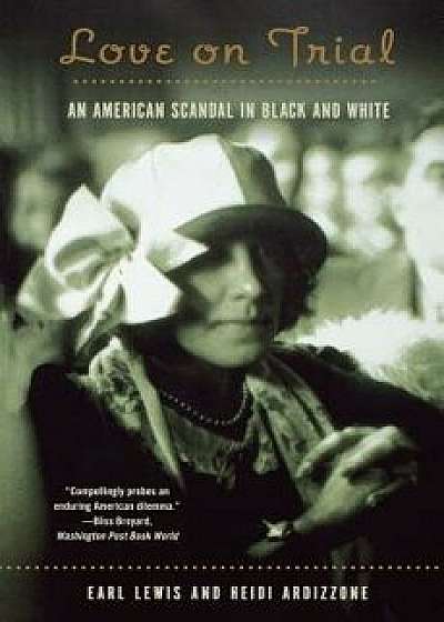 Love on Trial: An American Scandal in Black and White, Paperback/Heidi Ardizzone