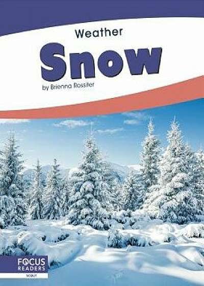 Coperta cărții Snow, Paperback/Brienna Rossiter
