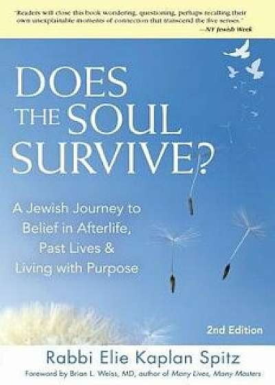 Does the Soul Survive? (2nd Edition): A Jewish Journey to Belief in Afterlife, Past Lives & Living with Purpose, Paperback/Elie Kaplan Spitz