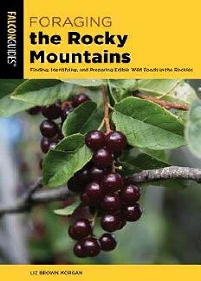 Foraging the Rocky Mountains: Finding, Identifying, and Preparing Edible Wild Foods in the Rockies, Paperback/Lizbeth Morgan