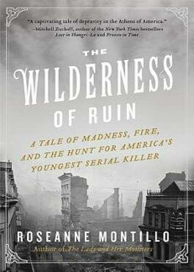 The Wilderness of Ruin: A Tale of Madness, Fire, and the Hunt for America's Youngest Serial Killer, Paperback/Roseanne Montillo