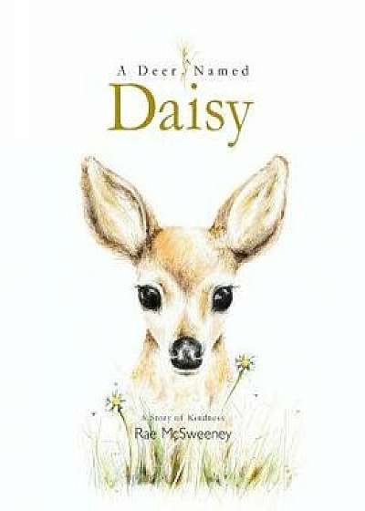 A Deer Named Daisy, Paperback/Rae McSweeney