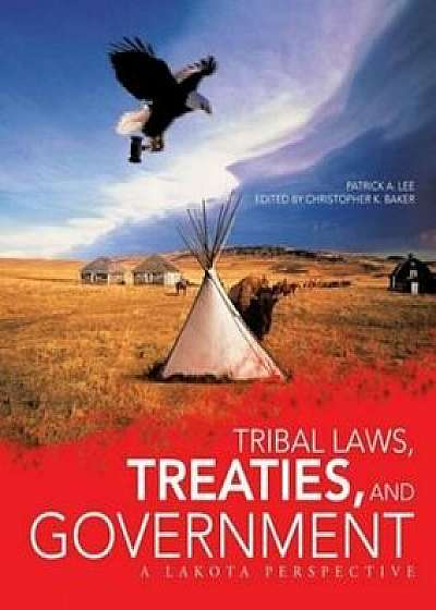 Tribal Laws, Treaties, and Government: A Lakota Perspective, Paperback/Patrick A. Lee