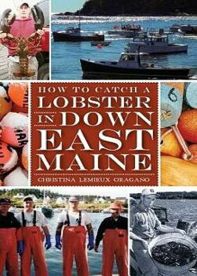 How to Catch a Lobster in Down East Maine, Hardcover/Christina LeMieux Oragano