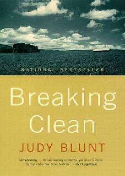 Breaking Clean, Paperback/Judy Blunt