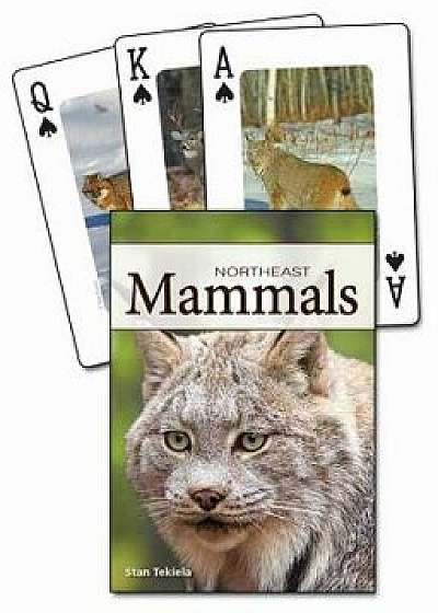 Mammals of the Northeast Playing Cards/Stan Tekiela