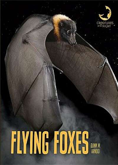 Flying Foxes, Paperback/Quinn M. Arnold