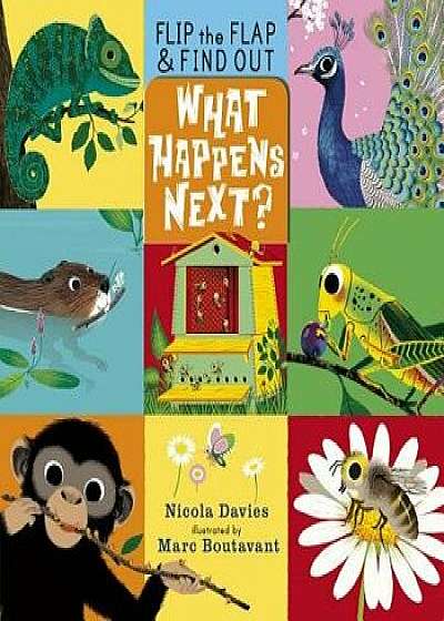 What Happens Next?, Hardcover/Nicola Davies