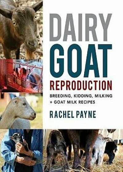 Dairy Goat Reproduction: Breeding, Birthing, and Milking + Goat Milk Recipes, Paperback/Rachel Payne