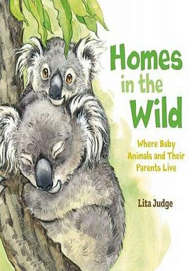 Homes in the Wild: Where Baby Animals and Their Parents Live, Hardcover/Lita Judge