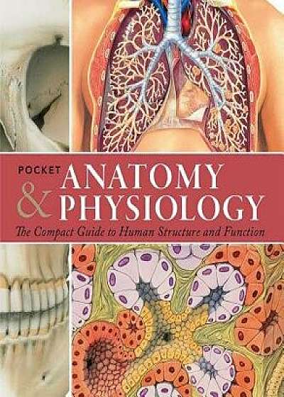 Pocket Anatomy & Physiology: The Compact Guide to the Human Body and How It Works, Paperback/Ken Ashwell