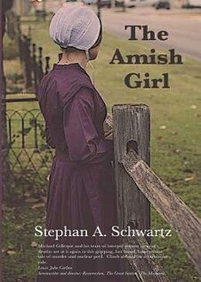 The Amish Girl: A Novel of Death and Consciousness, Paperback/Stephan A. Schwartz