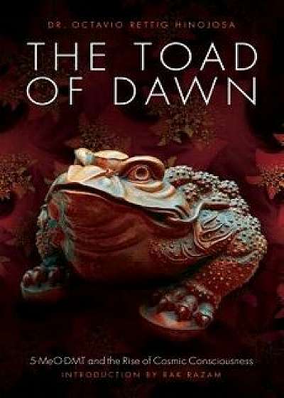 The Toad of Dawn: 5-Meo-Dmt and the Rising of Cosmic Consciousness, Paperback/Octavio Rettig Hinojosa