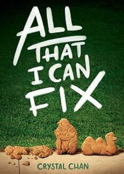 All That I Can Fix, Paperback/Crystal Chan