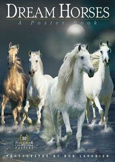 Dream Horses: A Poster Book, Paperback/Deborah Burns