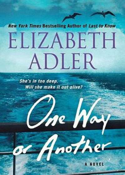 One Way or Another, Paperback/Elizabeth Adler