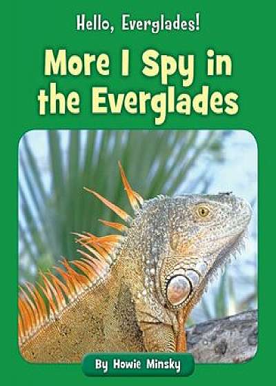 More I Spy in the Everglades, Paperback/Howie Minsky