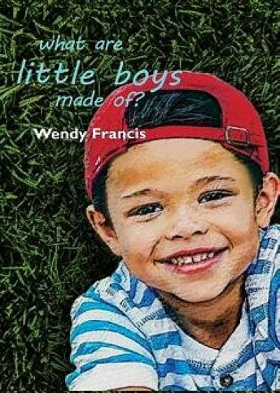 What Are Little Boys Made Of?, Hardcover/Wendy Francis