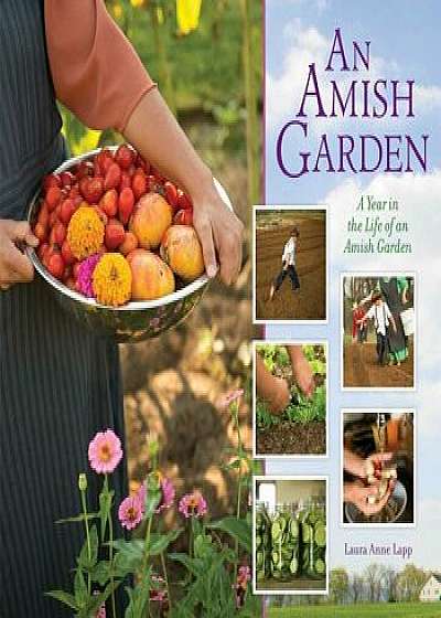Amish Garden: A Year in the Life of an Amish Garden, Hardcover/Laura A. Lapp