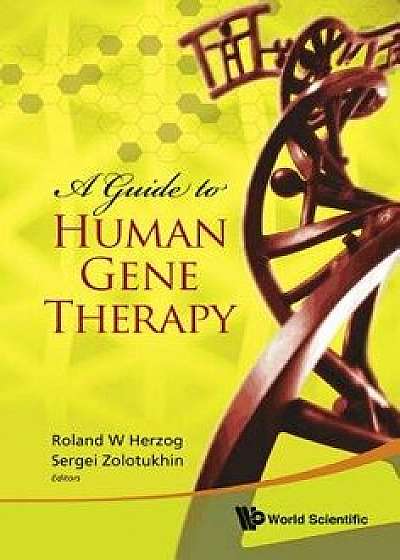 A Guide to Human Gene Therapy, Paperback/Roland W. Herzog