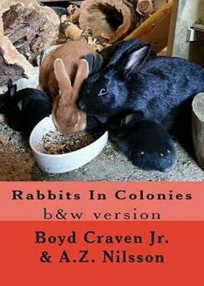Rabbits in Colonies: Grayscale, Paperback/Boyd Craven Jr