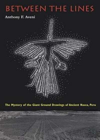 Between the Lines: The Mystery of the Giant Ground Drawings of Ancient Nasca, Peru, Paperback/Anthony F. Aveni