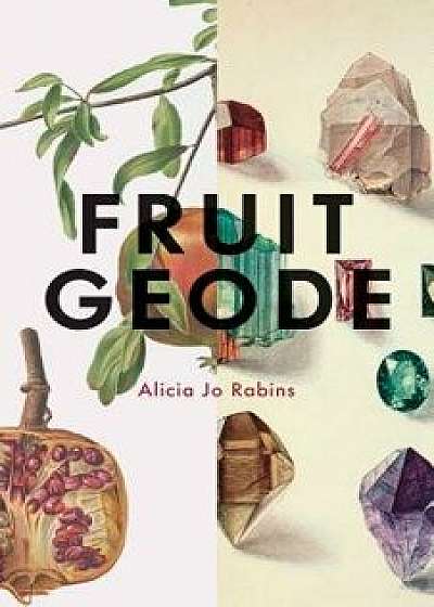 Fruit Geode, Paperback/Alicia Jo Rabins
