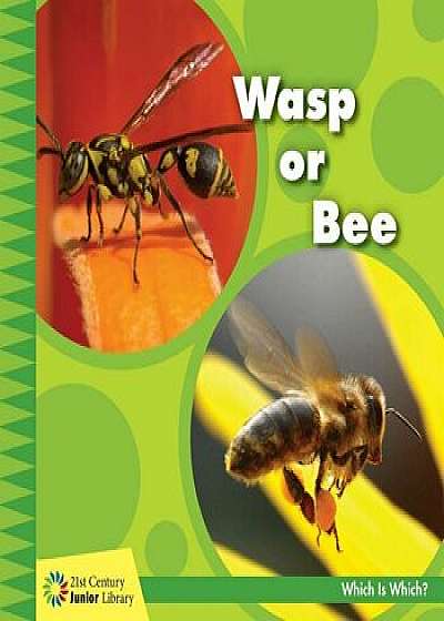 Wasp or Bee/Tamra Orr
