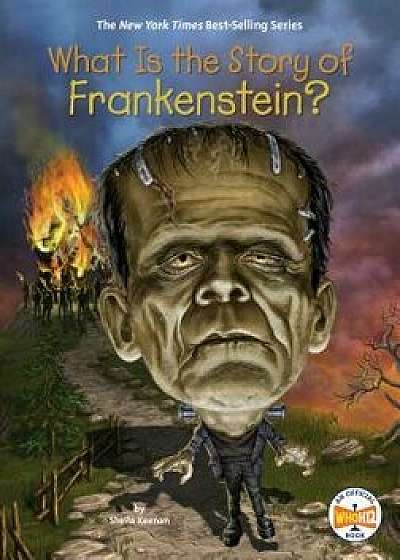 What Is the Story of Frankenstein?, Hardcover/Sheila Keenan