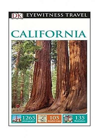 Coperta cărții Top 10 California