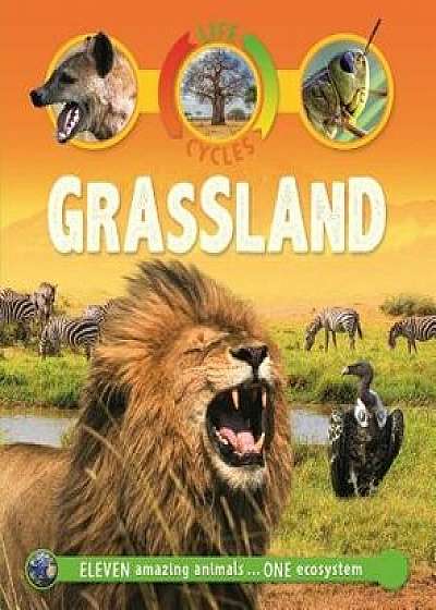 Life Cycles: Grassland, Paperback/Sean Callery