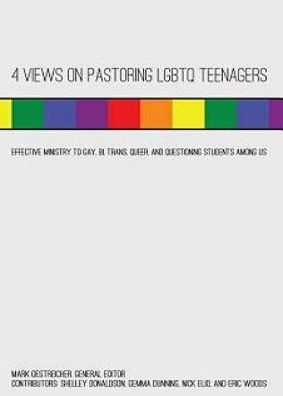 4 Views on Pastoring Lgbtq Teenagers: Effective Ministry to Gay, Bi, Trans, Queer, and Questioning Students Among Us, Paperback/Shelley Donaldson