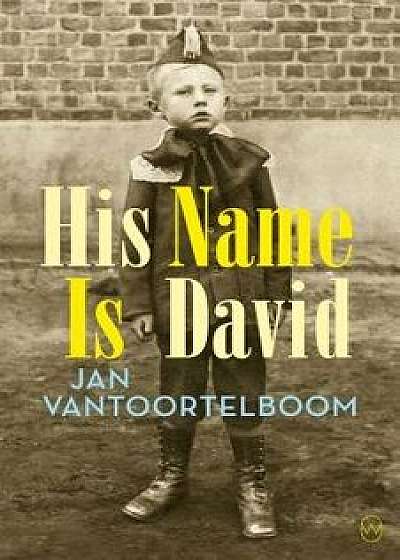 His Name Is David, Paperback/Jan Vantoortelboom